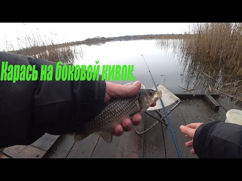 Видео: Карась на боковой кивок с кладки в конце огорода.