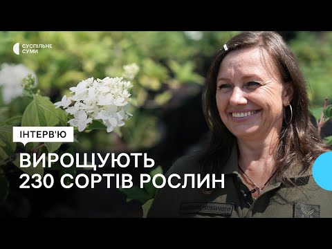 Видео: Як вирощують 230 сортів рослин у конотопському розсаднику