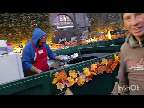 Видео: На фестивале музыка играет. Нас парень покормил. 