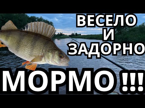 Видео: РЫБАЛКА НА МОРМЫШКУ СПИННИНГОМ! МОРМО - ЭТО ВЕСЕЛО И ЗАДОРНО!!!