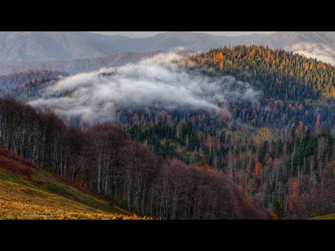 Видео: Осенний хайк в Бахмаро
