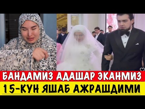 Видео: ФЕРУЗА НОРМАТОВА ЭРИ ЎЗИДАН КИЧКИНАЛИГИНИ МАХР УЧУН НИМА СЎРАГАНИНИ АЙТДИ