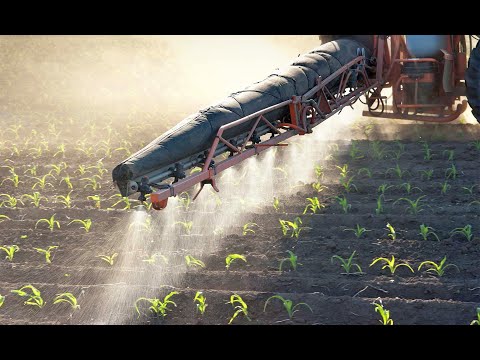 Видео: Основные тенденции защиты растений от вредителей, болезней и сорняков