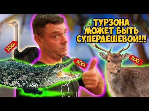 Видео: Обзор BiaHoi Дешевизна и экзотика в тур зоне!