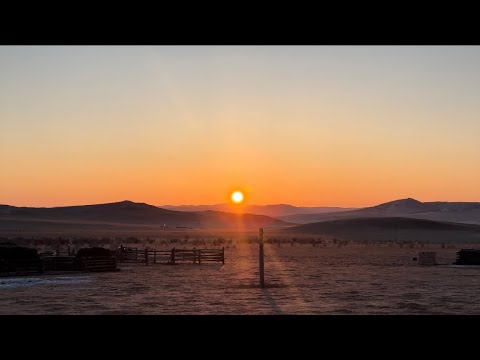 Видео: Цагаан сар | The Mongolian Lunar New Year 🇲🇳
