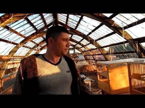 Видео: Самодельная клетка для канареек.