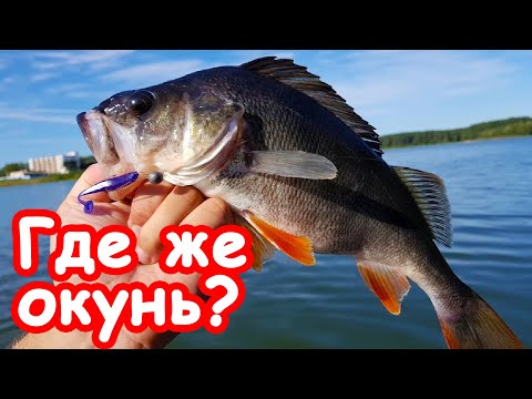 Видео: Где искать окуня. Ловля окуня