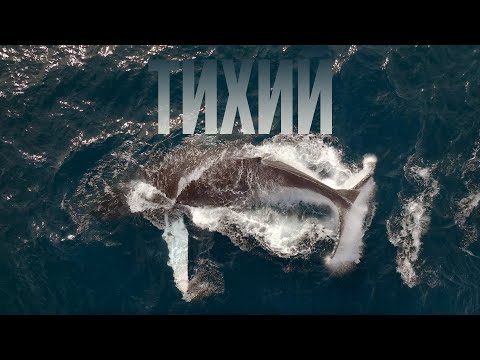 Видео: Тихий 2