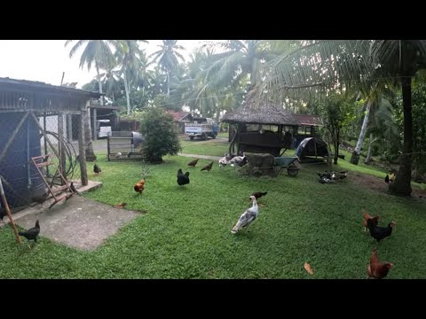 Видео: Ремонт проколов Big Red, прокачка тормозов на танке.