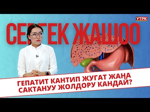 Видео: Гепатит кантип жугат жана сактануу жолдору кандай? // Сергек жашоо