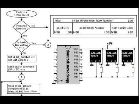 Видео: 64. Алгоритмы поиска 1 Wire устройств (Урок 55. Теория)
