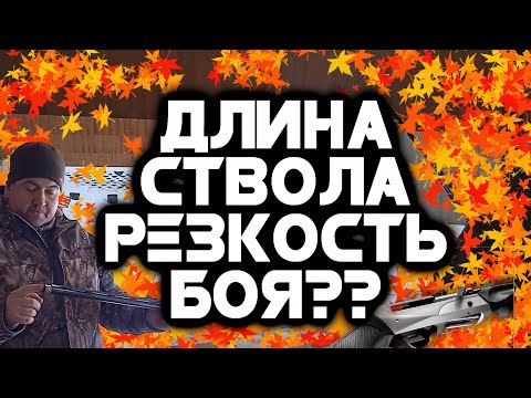 Видео: Влияние длины ствола на резкость дробового выстрела.