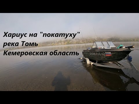 Видео: Хариус на "покатуху"| Томь| 22.09.23