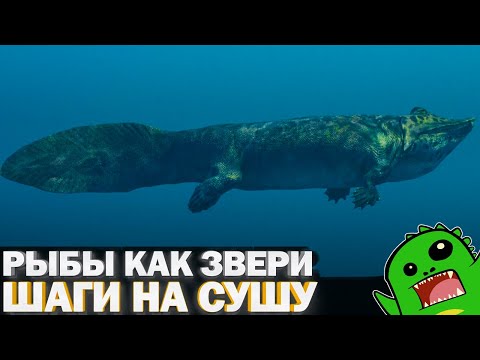 Видео: «По следам монстров» Серия 3 - Рыбы как звери