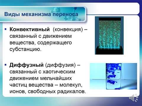 Видео: Механизмы массопереноса