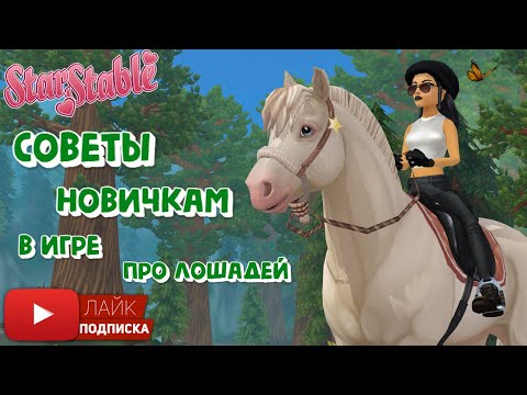 Видео: Советы для НОВИЧКОВ в Star Stable Online | Игра про лошадей