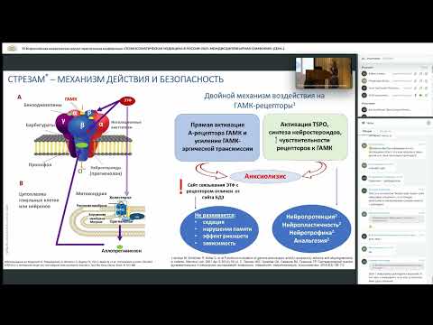 Видео: ВОРОБЬЁВА О.В. «НЕЙРОПСИХИАТРИЧЕСКИЕ ОСЛОЖНЕНИЯ ПОСЛЕ ИНСУЛЬТА...»
