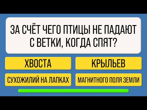 Видео: 10 правильных ответов — Вы настоящий эрудит