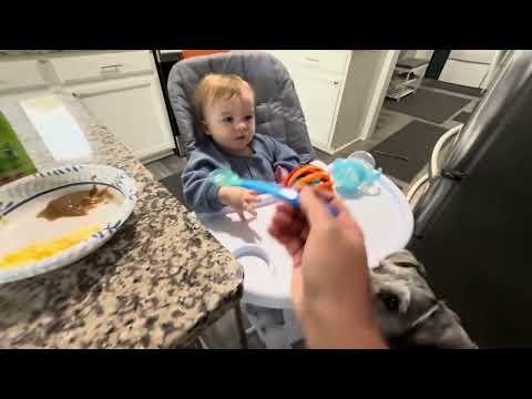 Видео: Визиты Беннета | Жизнь со шнауцерами