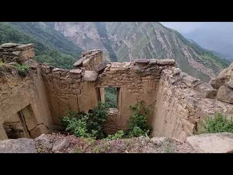 Видео: Гамсутль