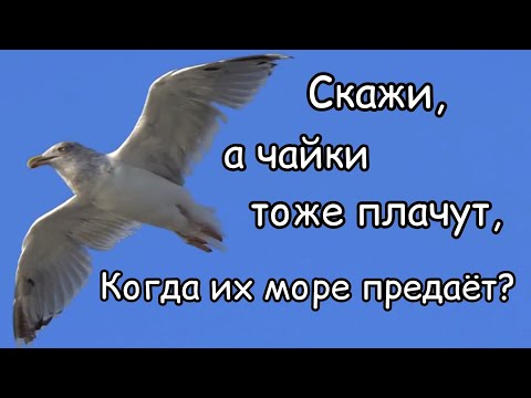 Видео: Очень трогательный стих - до слёз "предательство"