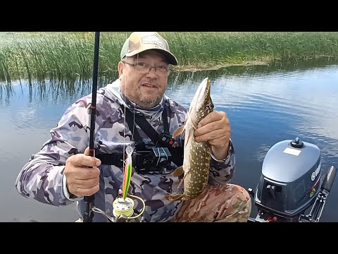 Видео: Глухолетье.. Рыбалка с лодки.Дроп шот.воблеры.ратлины выручают.