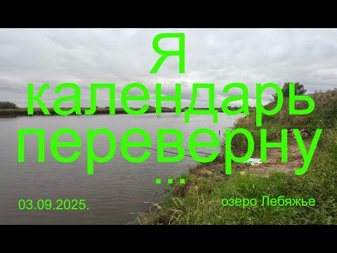 Видео: Я календарь переверну. 03.09.2025. Озеро Лебяжье. п. Виноградово. Рыбалка в Подмосковье.
