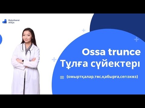 Видео: Тұлға сүйектері.Омыртқа,сегізкөз,төс,қабырға.