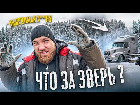 Видео: Я - Франкенштейн