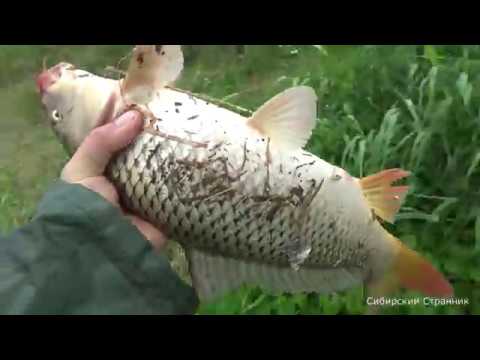 Видео: Рыбачим на подъёмник (паук) и на спиннинги. На что можно больше поймать???