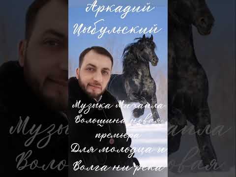 Видео: Аркадий Цыбульский  для молодца и Волга не река музыка Михаила Волошина 2023