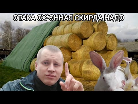 Видео: ПО АКЦІЇ КУПИВ ЛЮЦЕРНУ НА ЗИМУ🐇 ПРАЦЮЮ НА СЕБЕ⚠️ ДЕЛІКАТНА РОБОТА В КРОЛЯТНИКАХ | ДОЩ ГНІЙ УБОРКА 💪