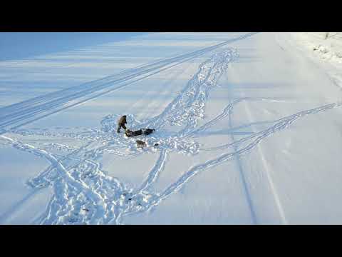 Видео: Лозьва 2020, с высоты