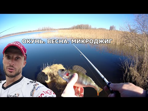 Видео: Эта ПРИМАНКА решает! Окунь, весна, микроджиг.