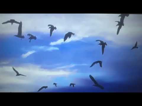 Видео: Этот мир любит тебя, и вселенная даст тебе то, что тебя интересует.