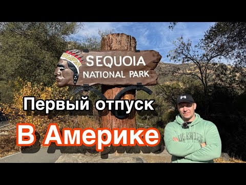 Видео: Отпуск в Америке / Секвойи, природа и приключения: Наш отпуск в США День 1