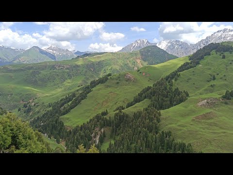 Видео: Кара Кулжа району, Ажике жайлоосу 19.06.2022