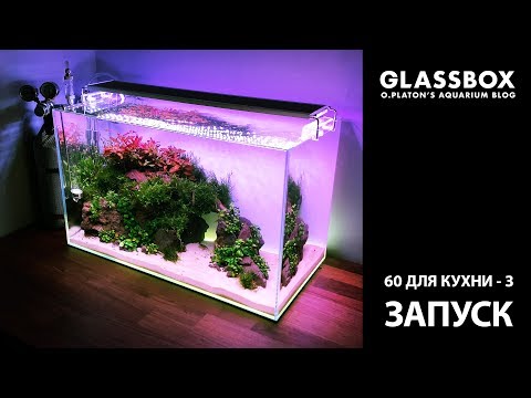 Видео: 60 для кухни 3 - Запуск