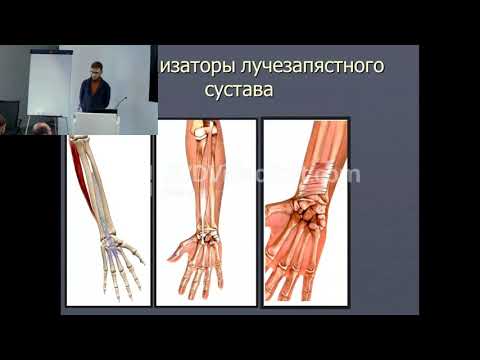 Видео: Г.В. Жежа Профилактика и реабилитация травм локтевого сустава и пальцев кисти