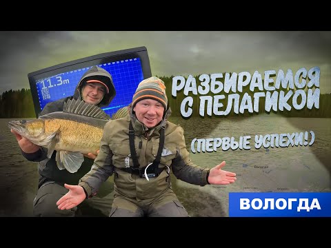 Видео: ЛОВЛЯ СУДАКА ПОЗДНЕЙ ОСЕНЬЮ - МЫ РАЗОБРАЛИСЬ С ПЕЛАГИКОЙ!