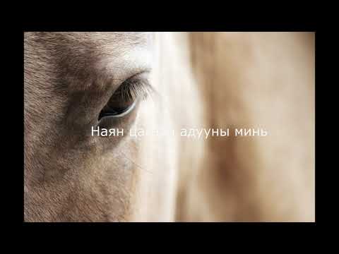 Видео: Husugtun - Jaran Tsagaan Aduu (Lyrics)/ Хөсөгтөн - Жаран Цагаан Адуу (үгтэй)