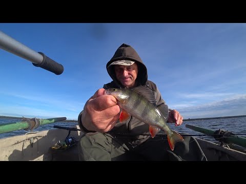 Видео: Рыбалка.27.09.25. Зеленогорск. Финский залив. 