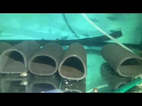 Видео: Не было света чуть больше 7 часов