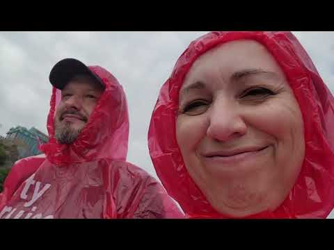 Видео: ПРИКЛЮЧЕНИЕ ИЗРАИЛЬТЯНЦЕВ В КАНАДЕ : БЕЛКИ И ВОДОПАД -ЧТО МИМИШНЕЙ 🐈💫🤓