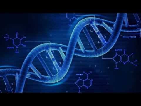 Видео: Искусственная ДНК; синтетические микроорганизмы (рассказывает Исаак Рошаль)