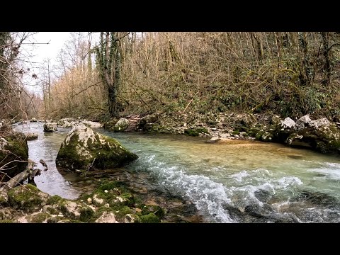 Видео: Прогулка со спиннингом по горным рекам, в начале весны