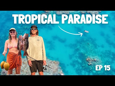 Видео: 4 дня рыбалки и жизни на нашей лодке на Большом Барьерном рифе