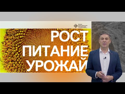 Видео: Система питания подсолнечника: как получить высокий урожай | Сергий Ризанов | Агроном