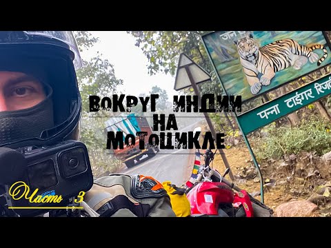Видео: Вокруг Индии на мотоцикле. Город где живут 20000 крыс. Байк развалился в дороге. Карни-Мата. Часть 3