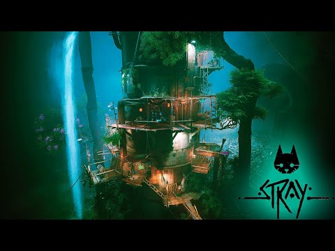 Видео: ПРИКЛЮЧЕНИЯ ЖДУТ Stray #6